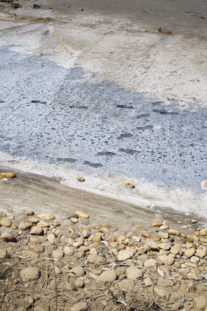 Photos de l'œuvre de Dominika Troicka traces de pas sur la baisse de Cinq cent francs