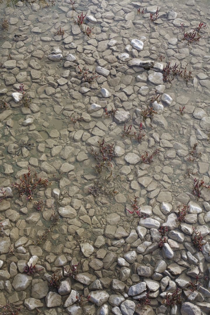 Photos de l'œuvre de Dominika Troicka cailloux dans l'eau près du point d'observation des salins