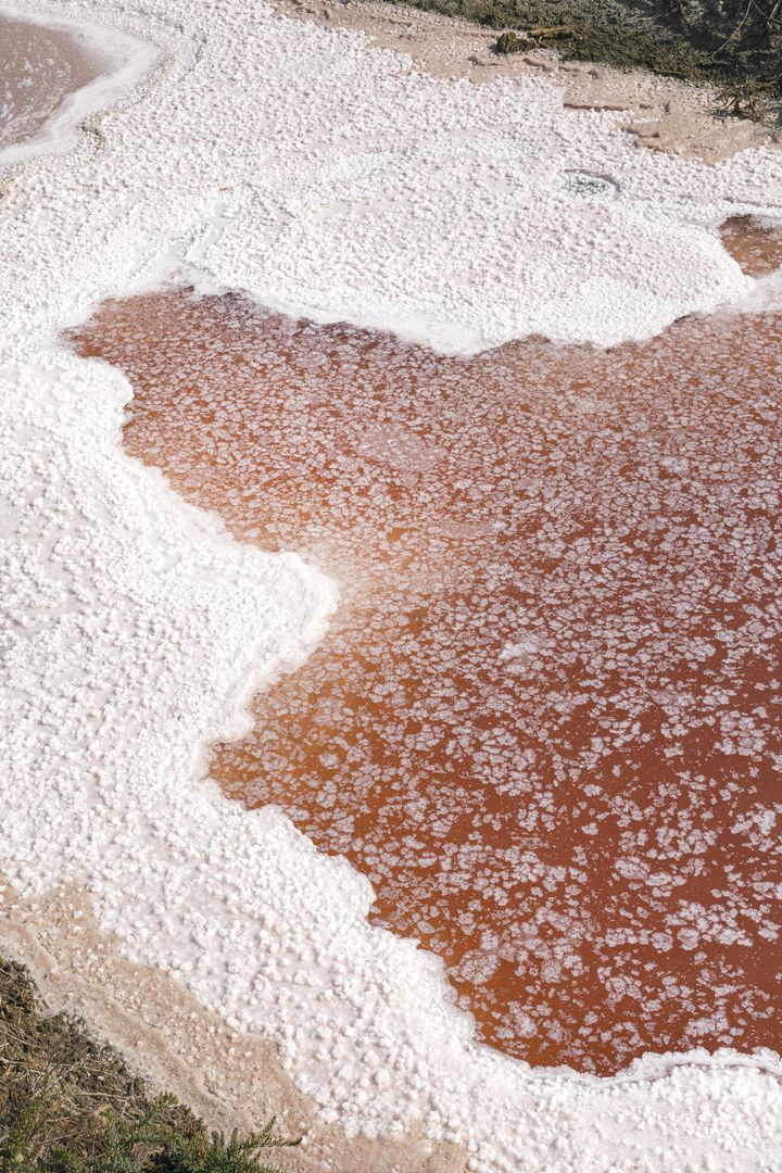 Photos de l'œuvre de Dominika Troicka fleur de sel teintée de rose par la présence de l'algue "dunalliela salina"