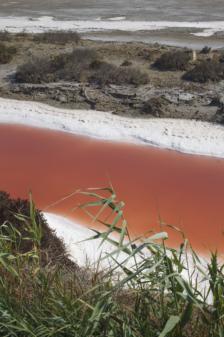 Photos de l'œuvre de Dominika Troicka rivière rose le long de la route vers la mer
