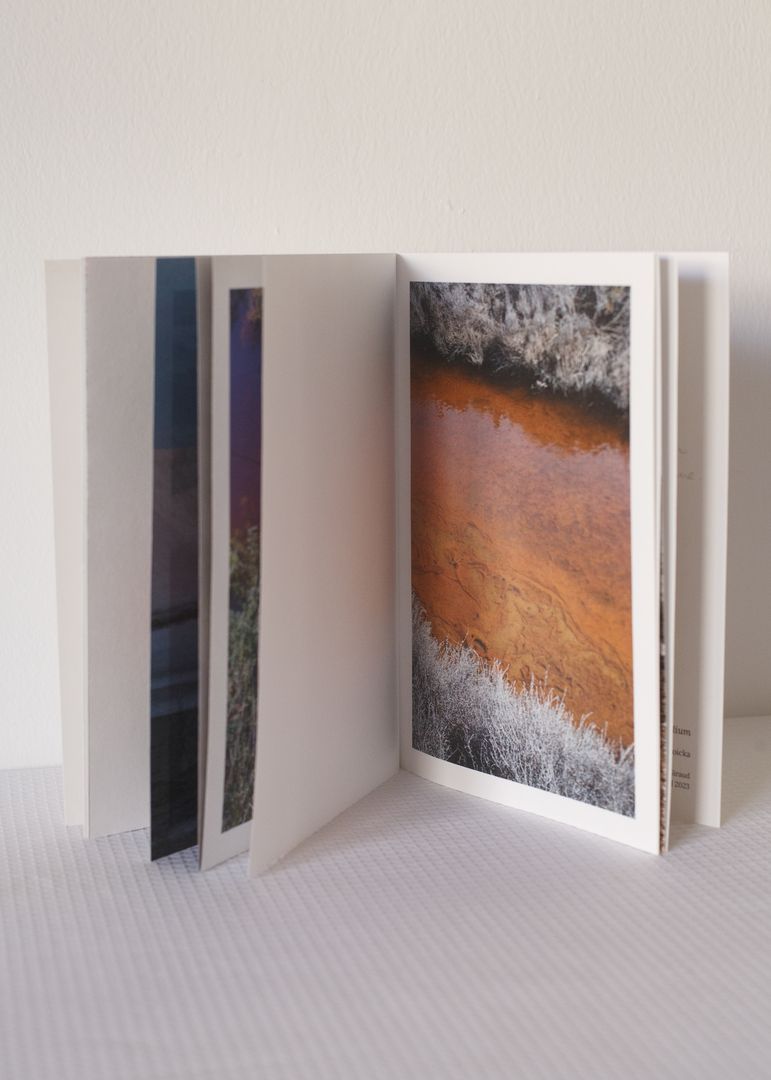 Sodium - Fanzine de Dominika Troicka